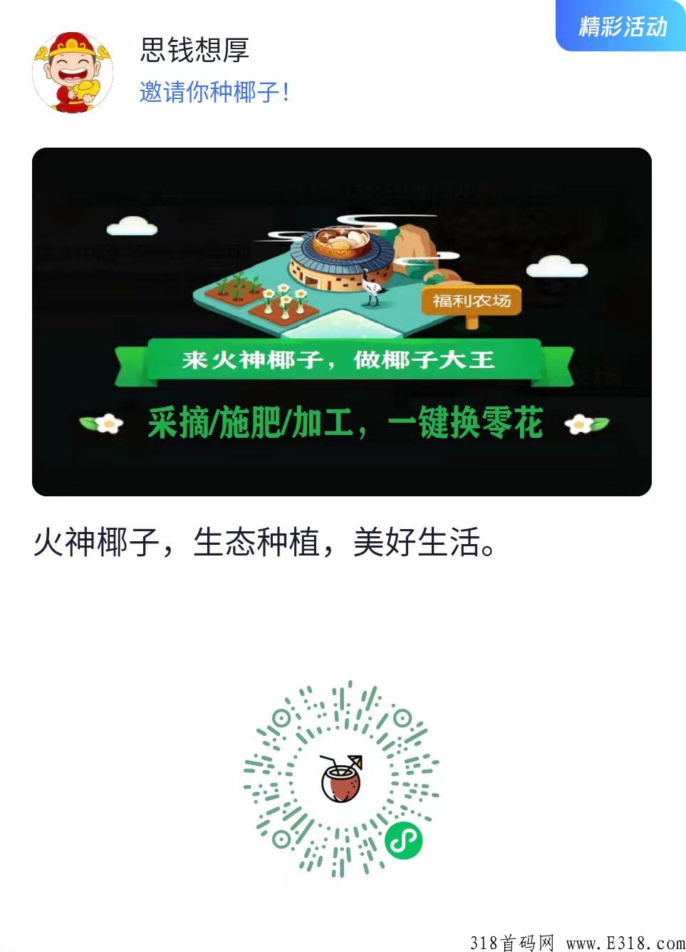 首码火神椰子稳定项目，带你种椰子赚零花钱，多看攻略赚得更多