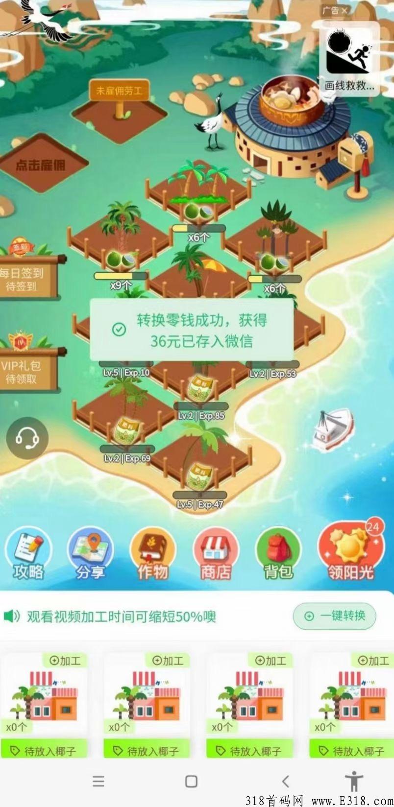 火神椰子_首码项目网