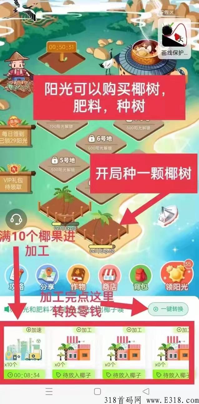 火神椰子_首码项目网
