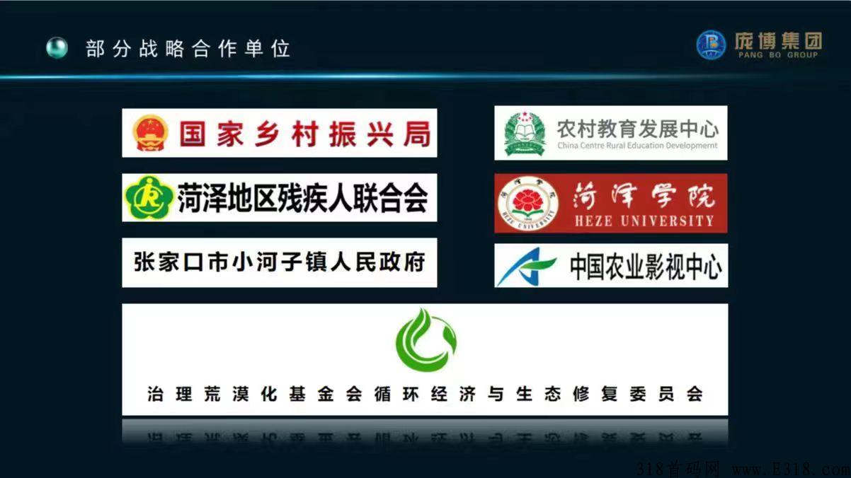 【落实】庞博集团139卤黑香荣获“中国自主创新最具影响力品牌”_首码项目网
