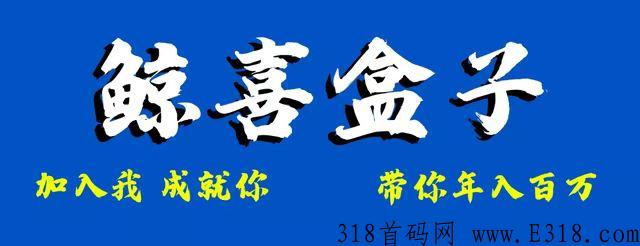 鲸喜盒子，最强首码项目，对接公司首码，享多重福利_首码项目网
