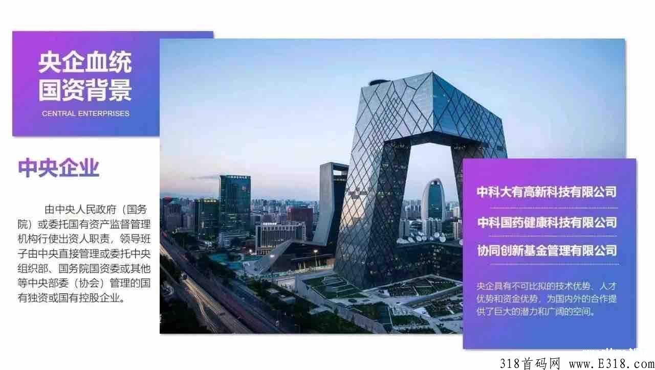 巅峰小店销售模式讲解_首码项目网