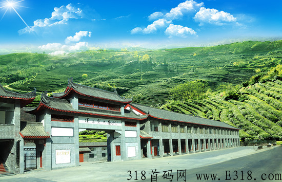 开心茶坊城，众筹模式的风口，大公司大背景大模式，放心撸_首码项目网
