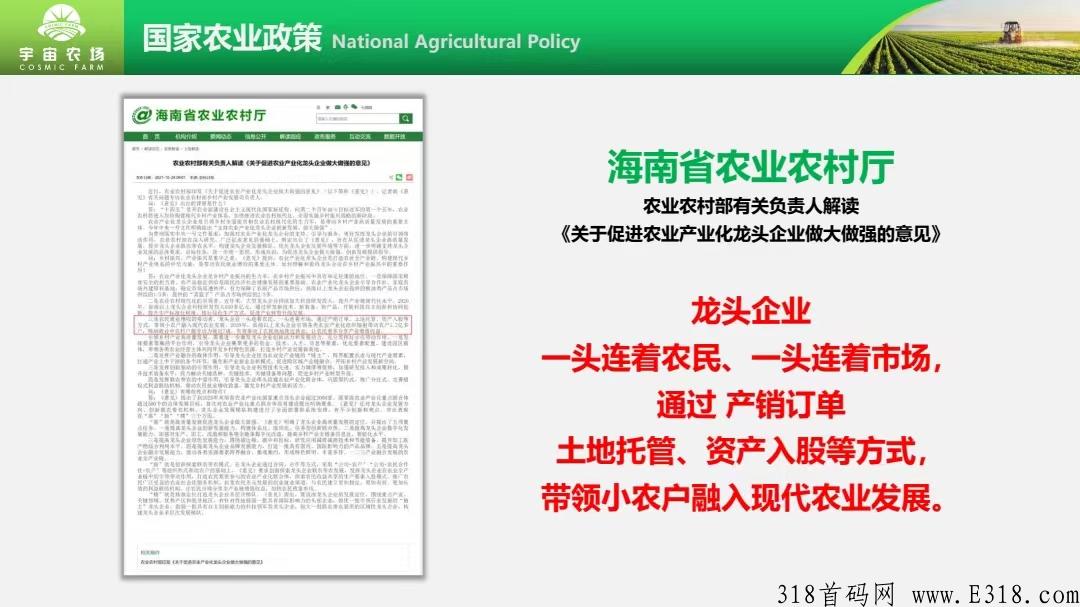 宇宙农场火爆全网,保证人人可吃肉_首码项目网 宇宙农场火爆全网,保证人人可吃肉_首码项目网