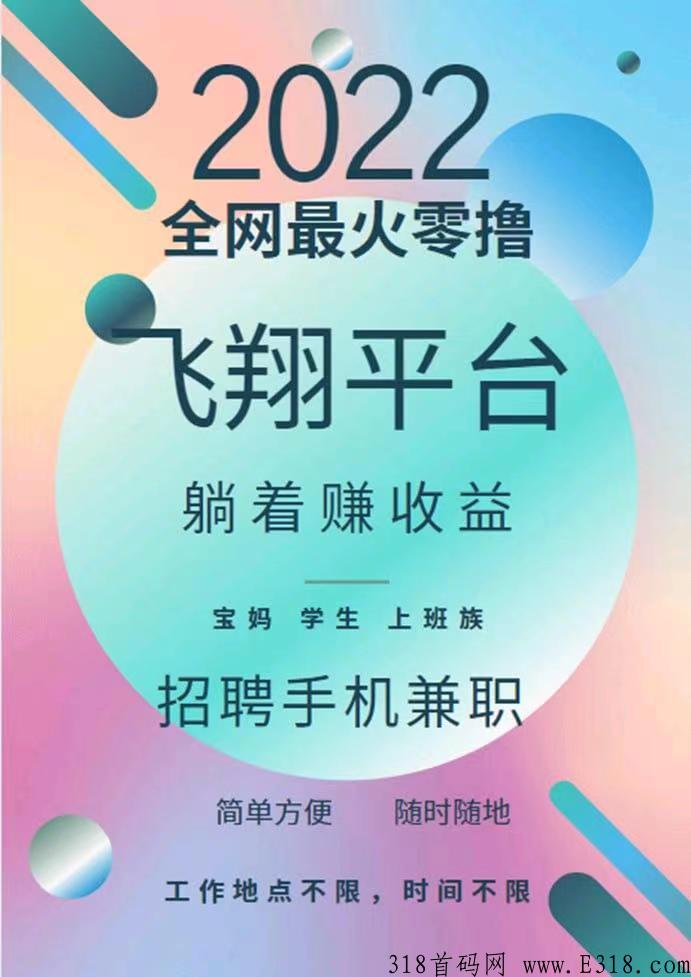 飞翔任务一天能赚钱多少 飞翔任务平台是什么
