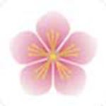 花花视频排线什么意思 花花视频能玩吗