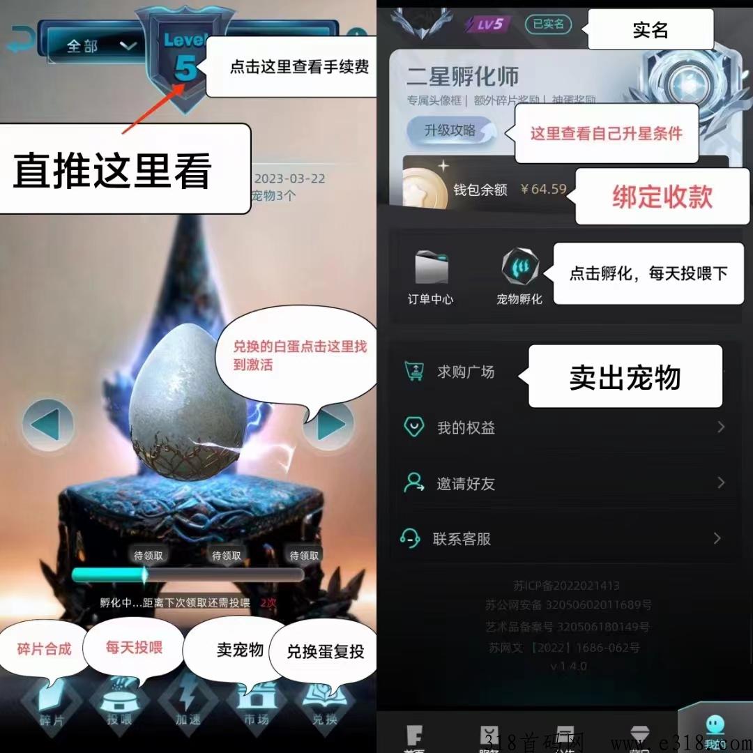 非梵艺术孵化师 非梵艺术怎么赚钱