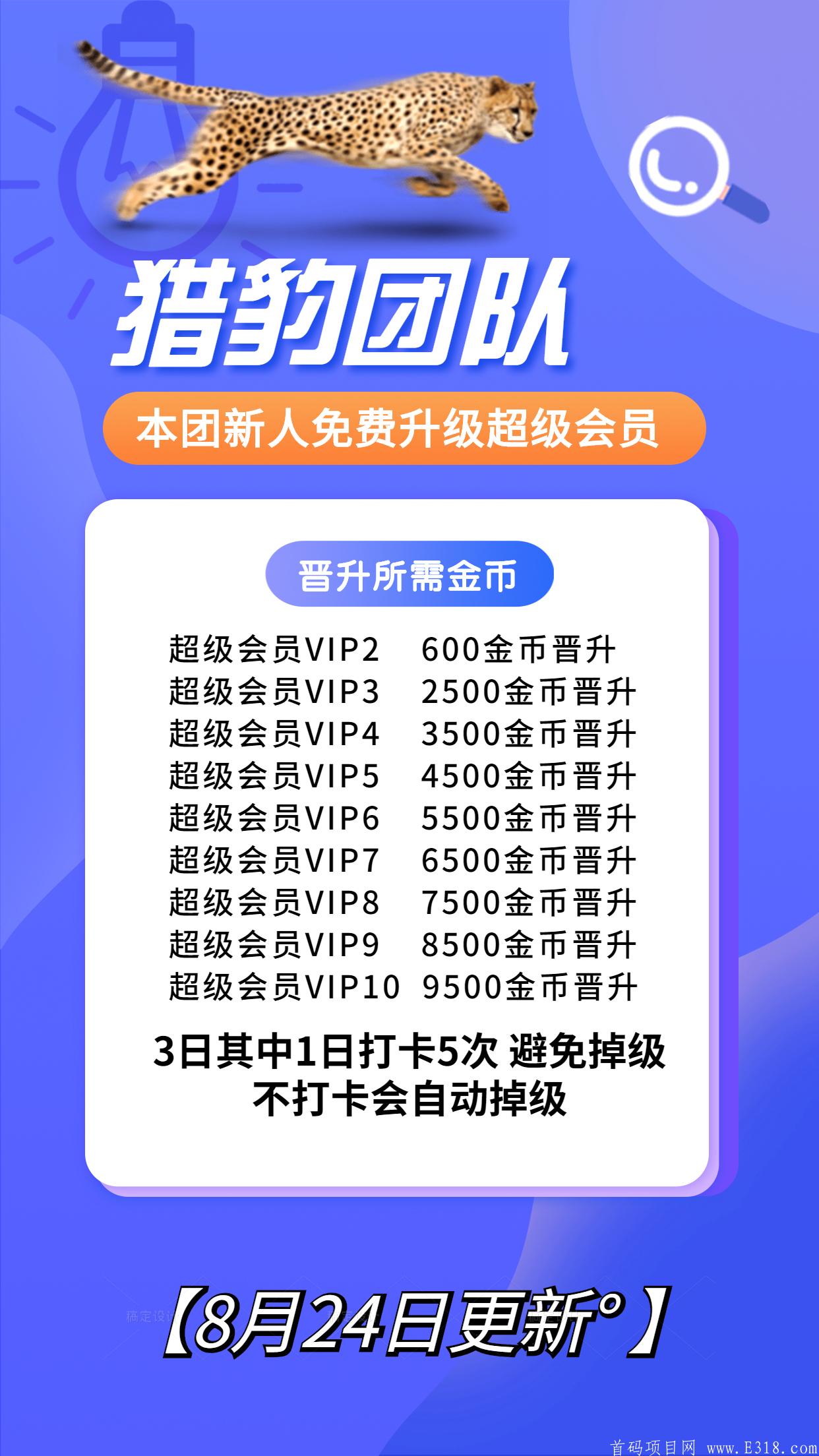 金*晋升制度.jpg