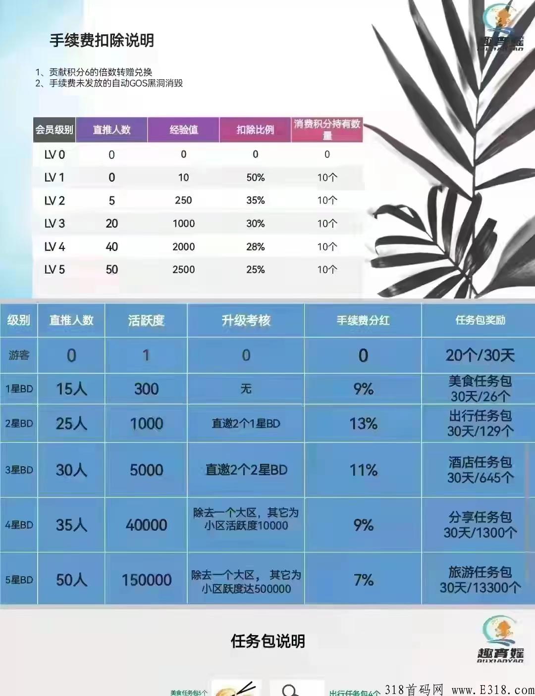 趣宵媱_首码项目网