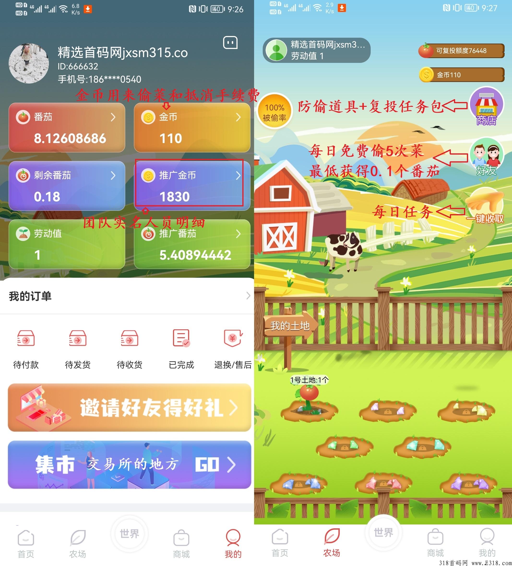 番茄农场金币怎么得 番茄农场官网现场 番茄农场金币怎么得 番茄农场官网现场