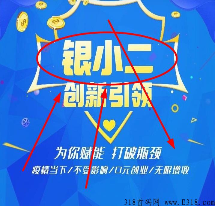 银小二怎么提现 银小二怎么做啊