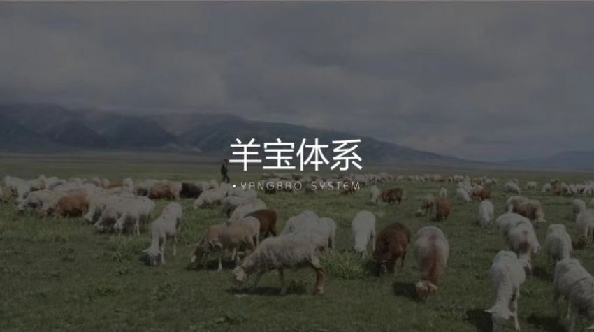 哇塞羊好多实名认证图 哇塞羊好多是真的公司吗 哇塞羊好多实名认证图 哇塞羊好多是真的公司吗