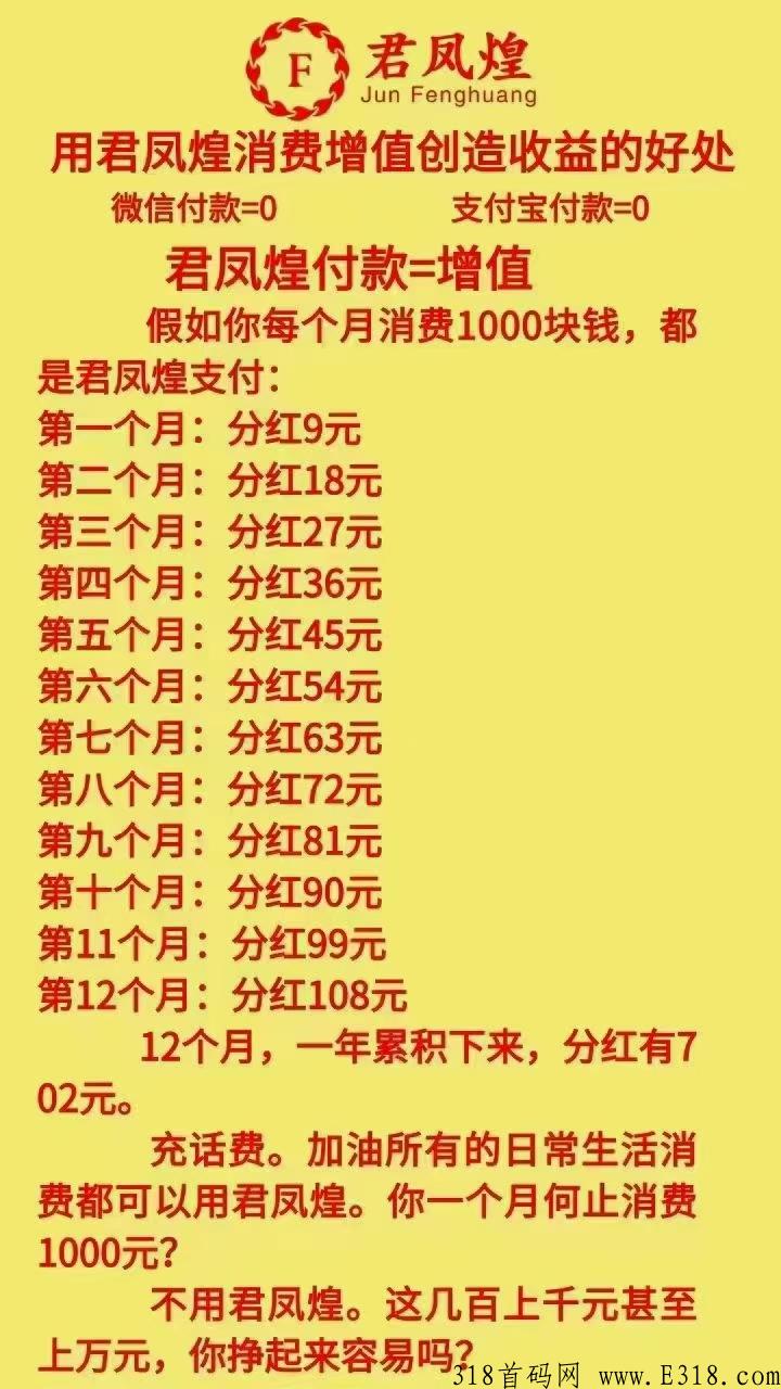 君凤煌最新消息 君凤凰平台怎么赚钱